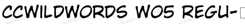 CCWildWords W05 Regu字体转换